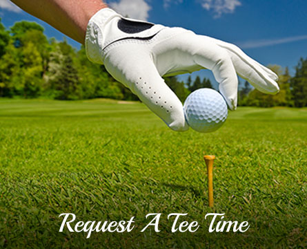 golf-course-restaurant-elkhart-lake-wi_0004_request-a-tee-time